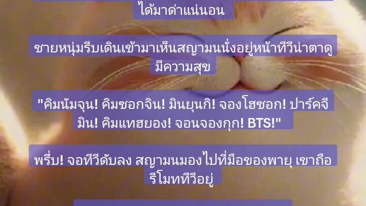 นิยายเรื่อง สญามน ข้ามเวลาอ่านได้ที่ แอปอ่านนิยาย เด็กดี และ รีทอะไรท์