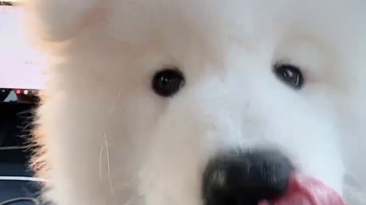 Thinking back on it now, I still feel a little scared!