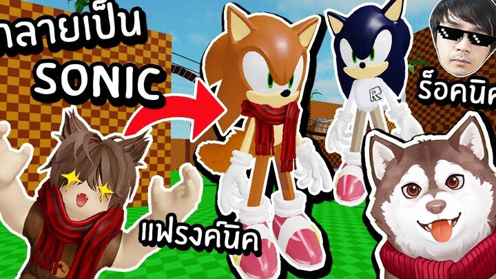 หมาสติแตกกลายเป็นโซนิค! แฟรงค์นิค! หมาที่เร็วที่สุดในโลก~🐾
