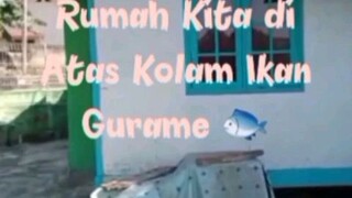 Rumah Panggung Yuan Sudrajat di atas Kolam Ikan Gurame