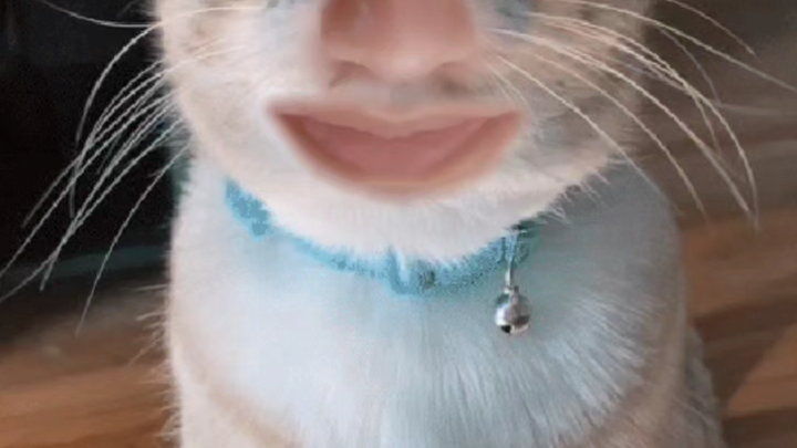 วันนี้อับอายสุดๆ: โดนเปิดโปงต่อหน้าอาจารย์ที่ปรึกษาว่าฉันคือ “แม่ศูนย์”