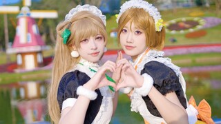【LOVE LIVE！】2024年的花鸟市场！我喜欢你 你喜欢我嘛～