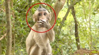 Adorable Baby Lola Eating Alot Of Fruit Today, She Ate Many Kind Of Fruit That Cameraman Provide Her