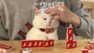 麻将小技巧，带只招财猫？