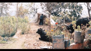 Tara Badha Bhaidiyo Jaata  | Roshni Karki | SKN | Krishna Nepali | Sudip Nepali |Raman Thami