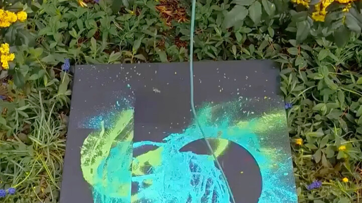 Cây muốn nói với bạn điều gì?