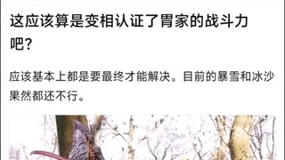 这应该算是变相认证了胃家的战斗力吧？应该基本上都是要最终才能解决。目前的暴雪和冰沙果然都还不行。