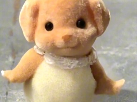 Two-and-a-half-minute loop of Senbei the Poodle dancing (torture-for-moderators version)