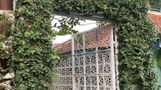 Mie Ayam Eyang Heri Purbalingga