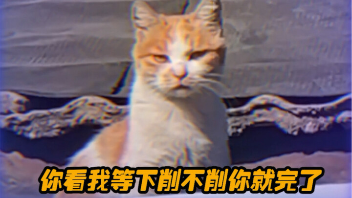 我们素未平生 你你礼貌嘛