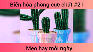 Biến hóa phòng cực chất p21