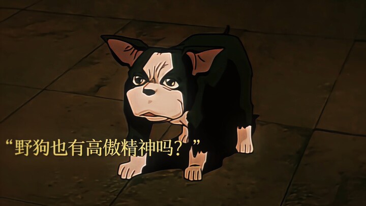“低贱的野狗难道真的没有黄金精神吗”
