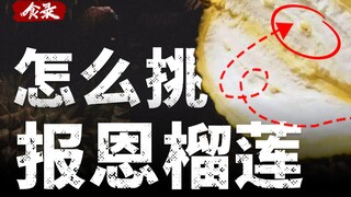 【食录】吃与不吃榴莲的人都沉默了，榴莲家族的进化史