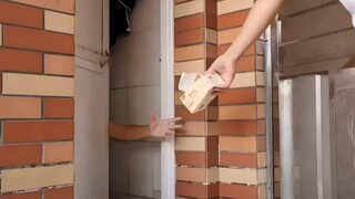 Toilet redemption submitted by netizens—submissions welcome, sensitive souls proceed with caution