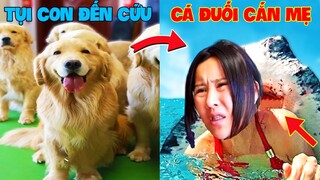 Thú Cưng Vlog | Trứng Bạc Và Trứng Vàng #42 | Chó gâu đần thông minh vui nhộn | Funny pets smart dog