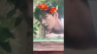 Gold fishes and Hydrangeas💙 #YangYang #shorts