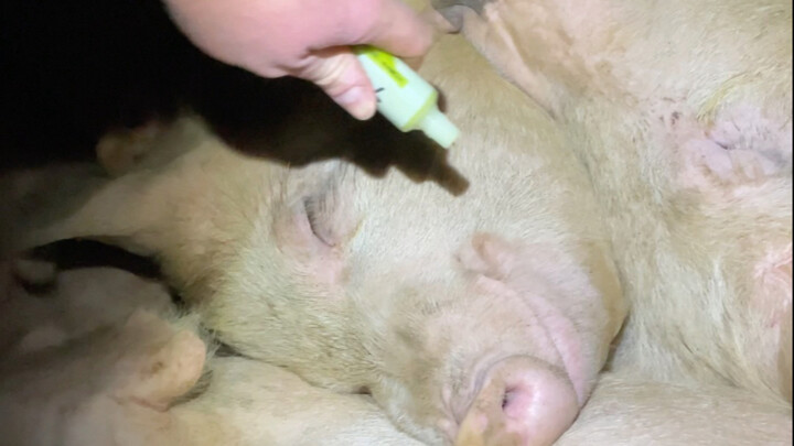 Terbangun Mendadak dalam Mimpi Tengah Malam