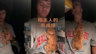 陪主人喝果汁，猫好