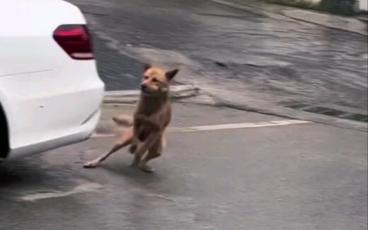 ⚡ It’s Heating Up! ⚡