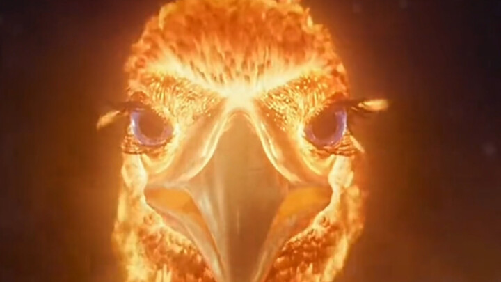 A man unexpectedly saves a fire phoenix. With its help, he rises to the pinnacle of success—