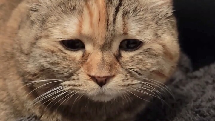 Mom won’t let me sleep on her head…