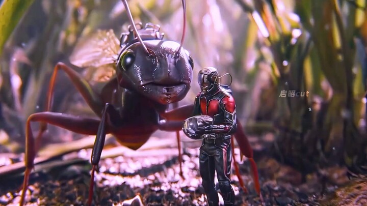 ใครจะปฏิเสธมดตัวหนึ่งที่มาเป็นพาหนะได้ล่ะ