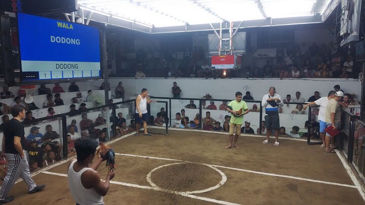 New Bay Cockpit Arena 2hits champion fight #2 (Manok San Pablo City Laguna) Meron side