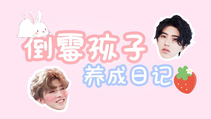 【دا كوي مقابل شياو كوي】 «يوميات تربية الطفل المنحوس» - تساي شوكين