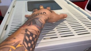 Cách Chuẩn Bị Để Nuôi Một Bé Mèo ( Moon ) CAT Vlog