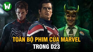 Tất Tần Tật Về Vũ Trụ Điện Ảnh Marvel Tại Sự Kiện D23 Expo