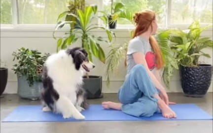 Who wouldn’t love a smart and adorable dog!