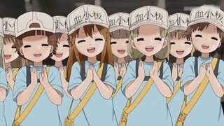 [Hataraku Saibou II] Siarannya adalah pukulan kritis! Trombosit lucu telah berlipat ganda lagi! Tent