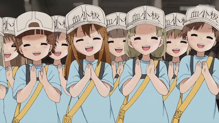 [Cells at Work! II] The broadcast is a critical hit! The cute platelets have doubled again! Medical 