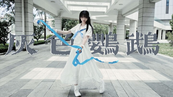 【مشروع التخرج】 الببغاء الرمادي | لا أجرؤ على أن يكون لي حلم، لكنني بالتأكيد لن أستسلم أبداً 【جين شي】