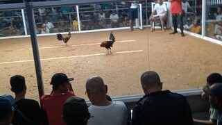 nice try  Win red