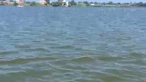 Um passeio calmo por uma lago