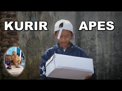 TIPE-TIPE KURIR LAGI APES