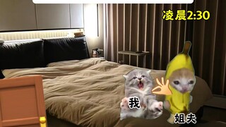 Kakak yang hamil dan aku yang menderita