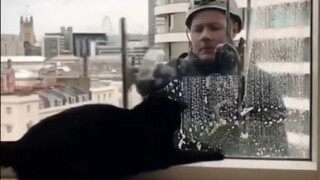 Happiness Is Everywhere