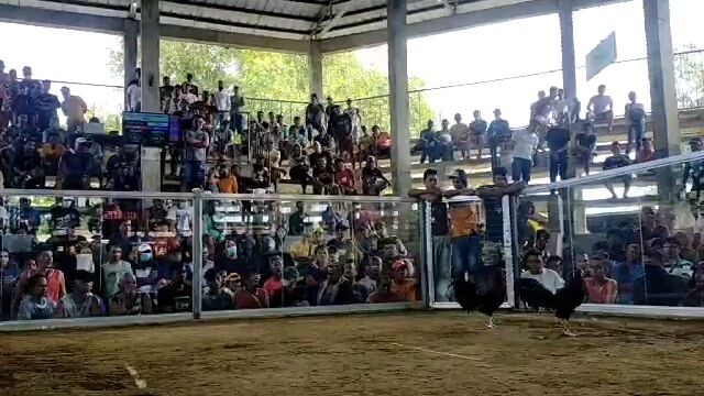 1st fight won using peruvian lines 2 hits ulutan @soccony cockpit pangasinan