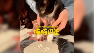 Meow paw pads! So cute!