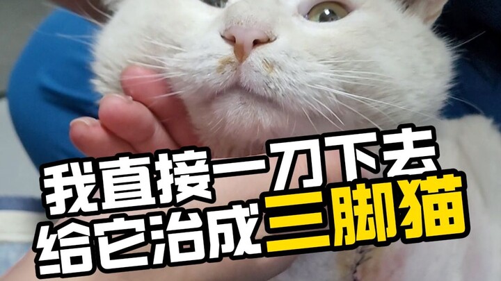 I just chopped it down to a "half-baked amateur" with one strike.