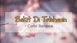 Bakit Di Totohanin - Carol Banawa | OPM Lyrics