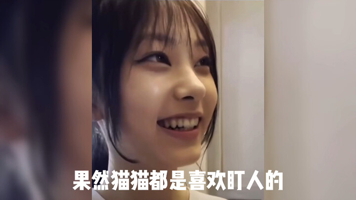 【New Jeans】As expected, all cats love to stare at people!