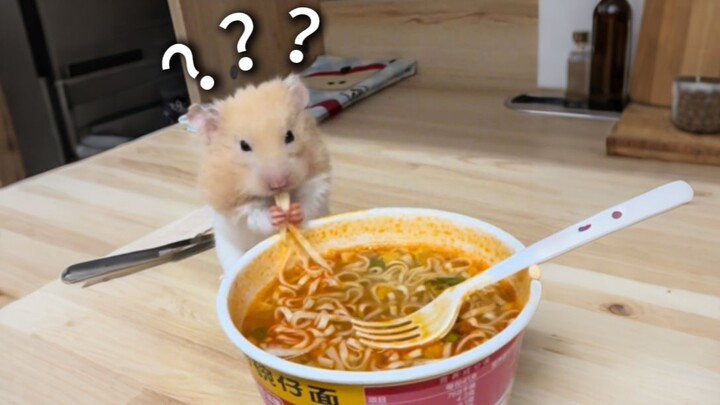 Animal Confusing Behavior Showcase 252