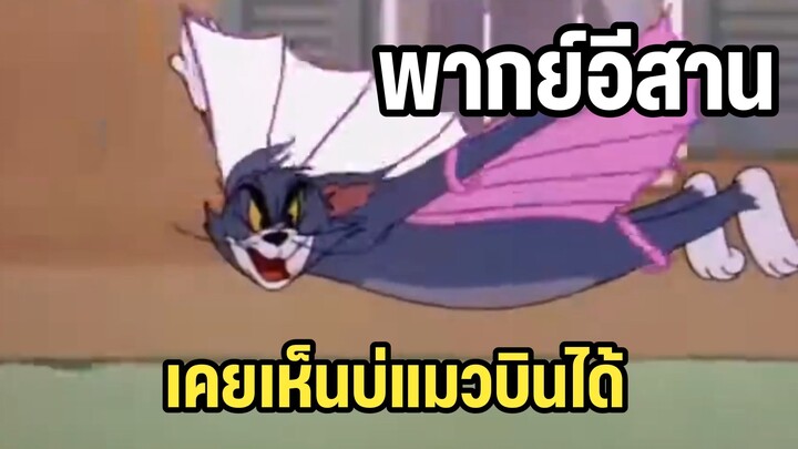 ทอมแอนด์เจอร์รี่ พากย์อีสาน แมวบินได้