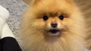 مربٍ عاجز: كررت عليّ الأمر عدة مرات، لكنها عندما رأت أنني ما زلت غبيًا لا أفهم، شعرت بخيبة أمل تامة 