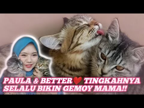 REPOT BANGET MANDIIN ANAK-ANAK!! PAULA and BETTER ❤️