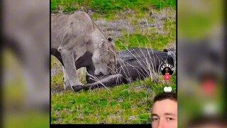 ⚡ Mở màn sấm sét ⚡