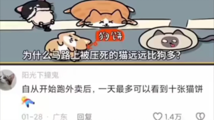 Because if you drip it on a dog, it’ll run away, but cats might not 😭😭